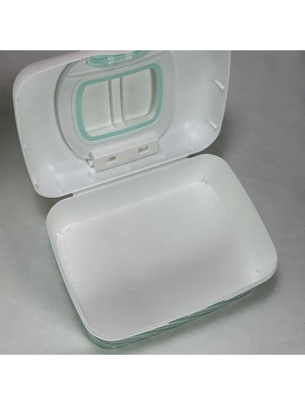 Charmin Plastic Wet Wipes Container Dispenser Holder With blue green Stripes